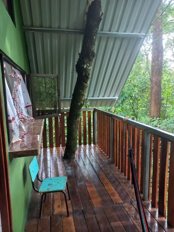 San Rafael De Guatuso Cabana Escondida Rio Celeste מראה חיצוני תמונה